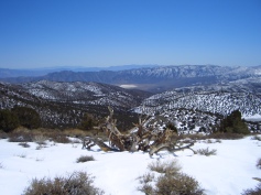 looking down into Saline Valley